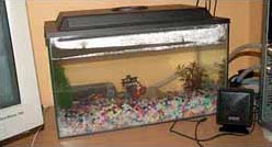 Personne ne l'avait fait ...