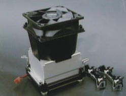 Cool Cannon et Radiant