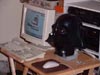 Mod Darth Vader