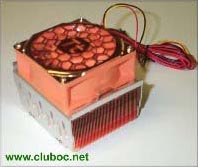 Le fr�re du Volcano11