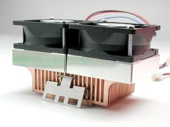 [souvenir]Kanie Type Wing