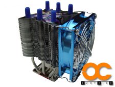 Nouvel article en ligne : Titan Vanessa S-Type