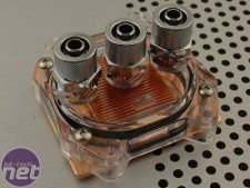 AquaTrident et AquaTurtle