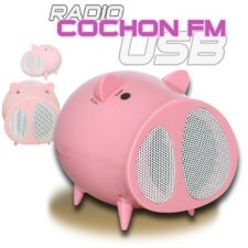 Heden Radio FM Cochon USB