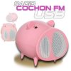 Heden Radio FM Cochon USB